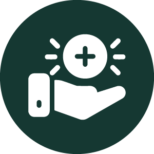 Pricing Icon