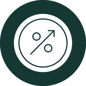 Pricing Icon