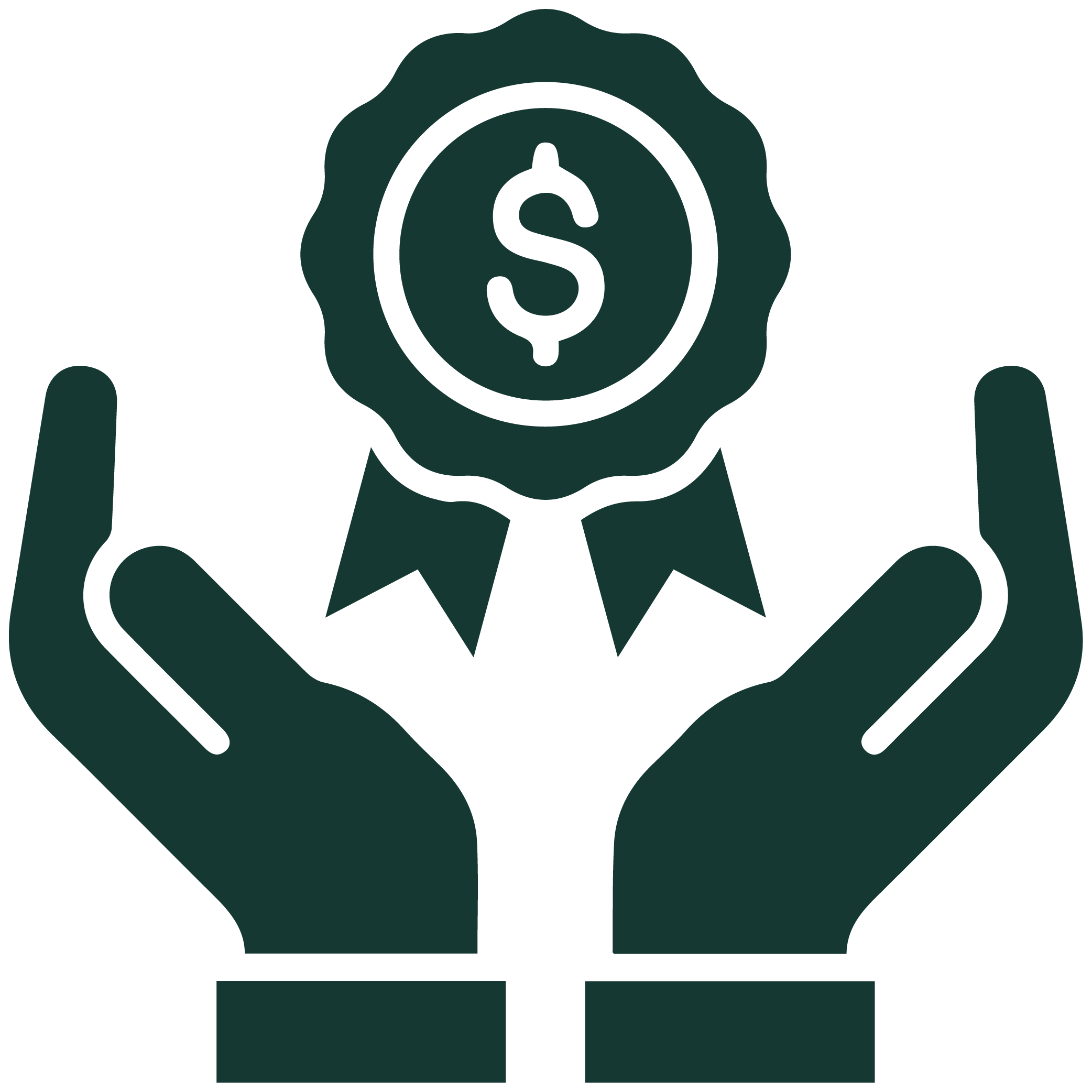 government incentives