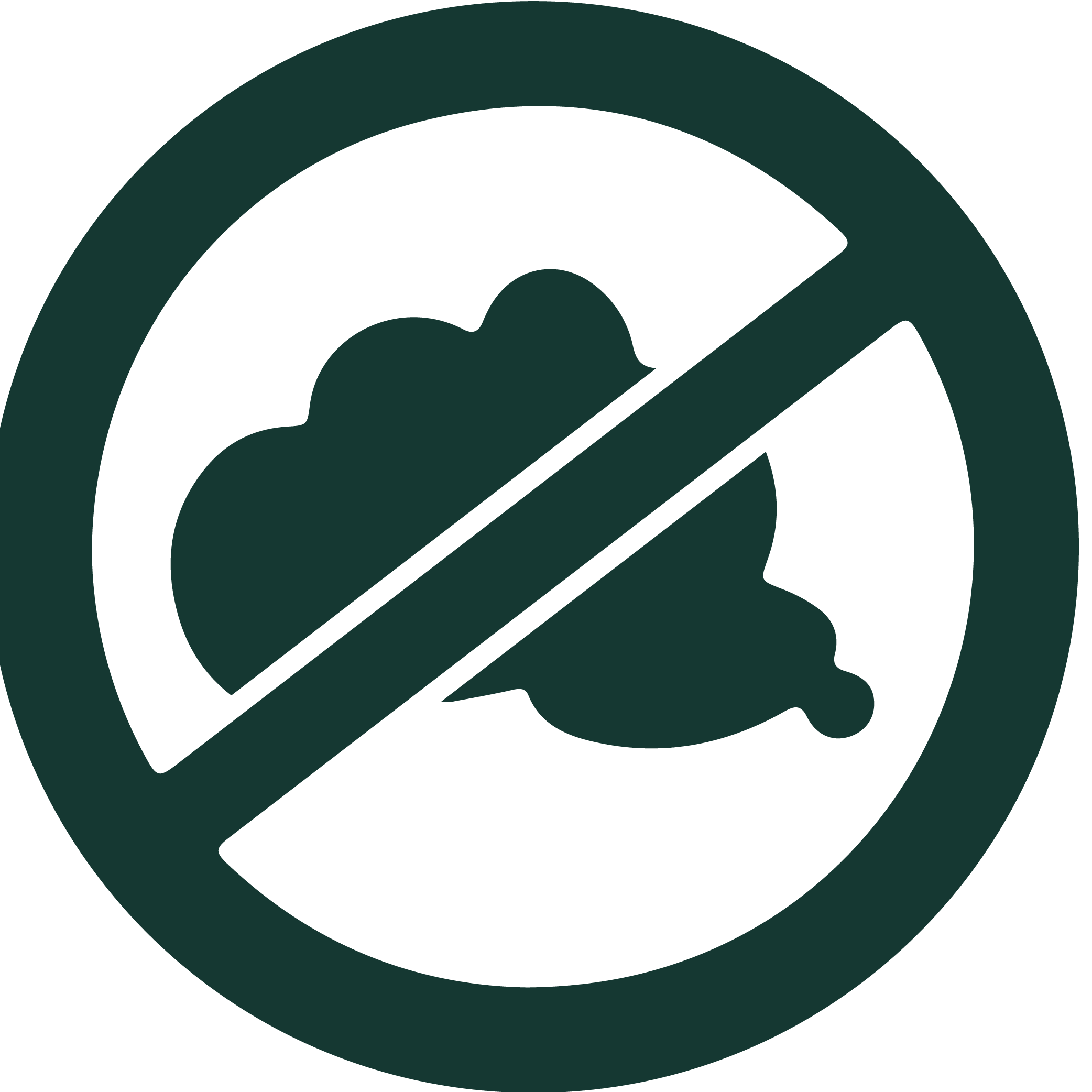 smoke-free policy