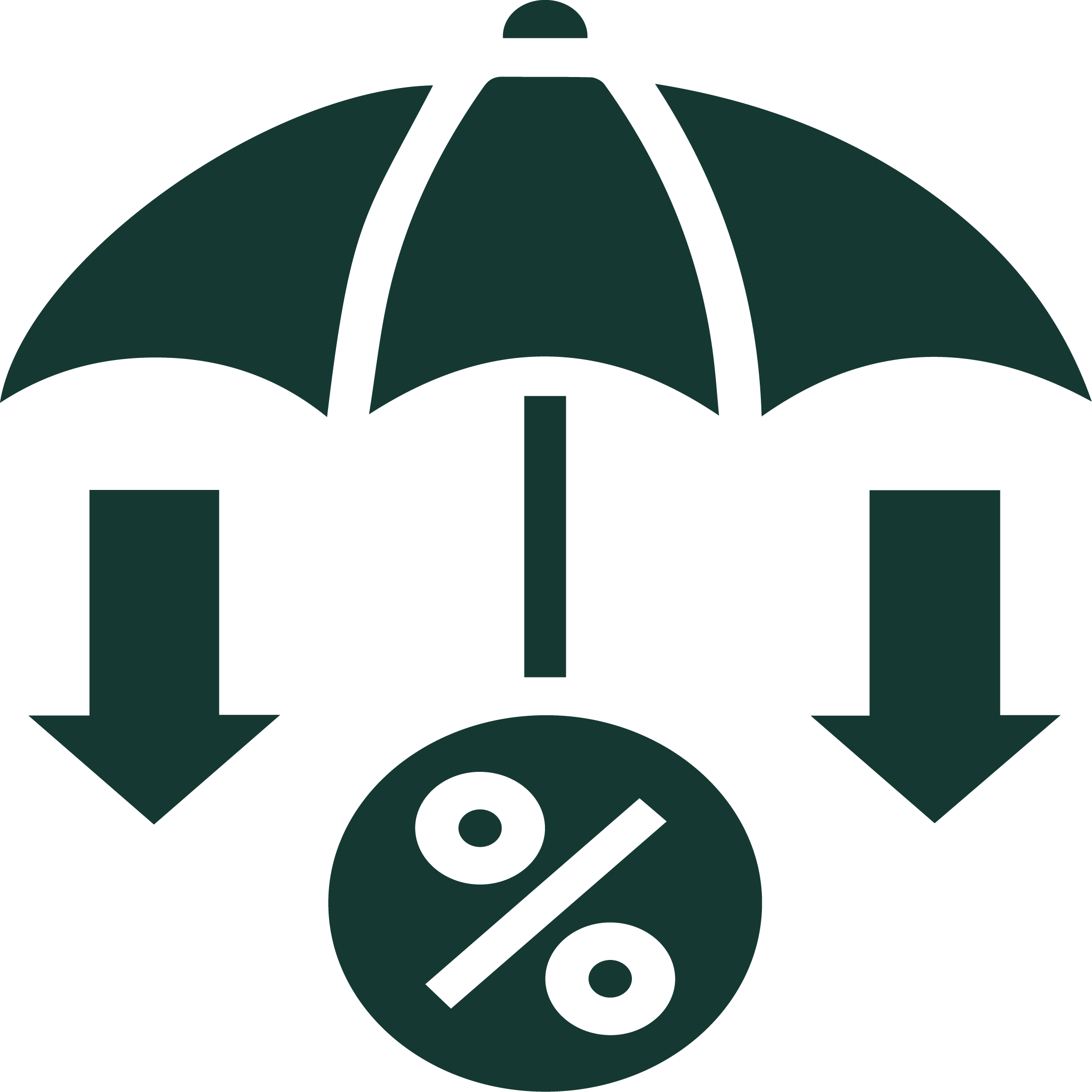 risk and liability