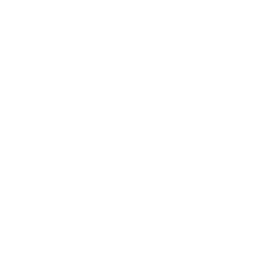 Indemnity Provisions